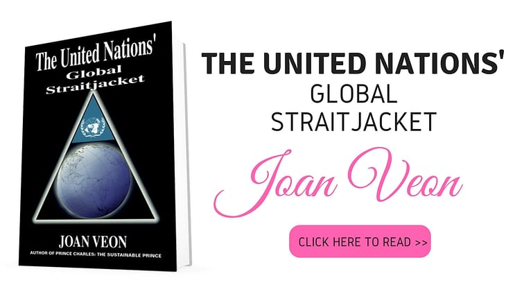 The United Nations Global Straitjacket